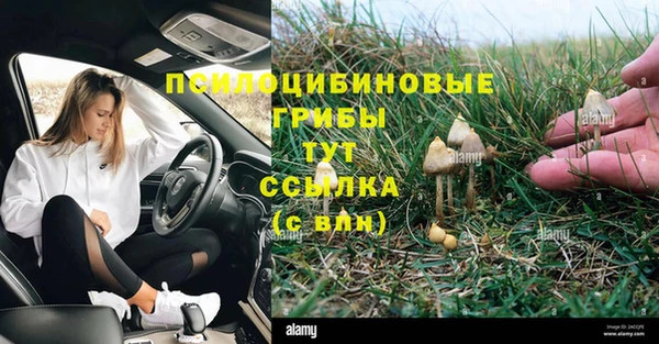 apvp Абдулино