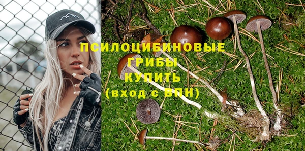 бошки Абинск