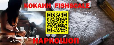 стаф Можга