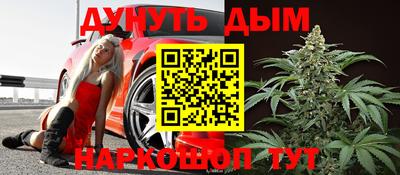 стаф Можга