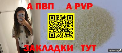 стаф Можга