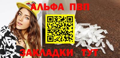 стаф Можга