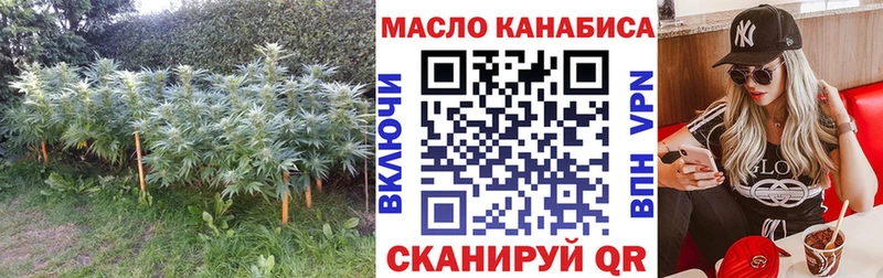 ТГК Wax  купить наркотик  OMG как войти  Шали 